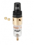 Air Filter Regulator, Self-Relieving, 0-125 PSI