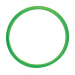 Kavoclave  Versions I, II & III Door Gasket