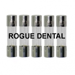 1.25A, 250V Fast Acting Fuse, 5mm Dia. x 20mm Long (Pkg. 5)